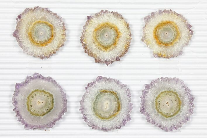 Lot: ~ Amethyst Stalactite Slices ( Pieces) #101655